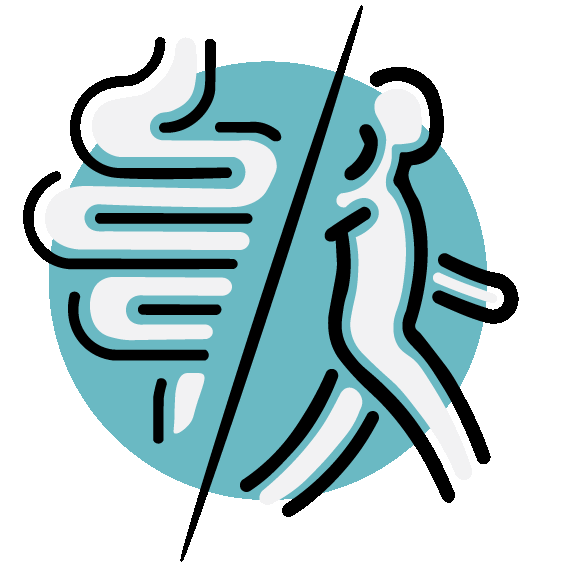 Digestive vs systemic enzymes illustration