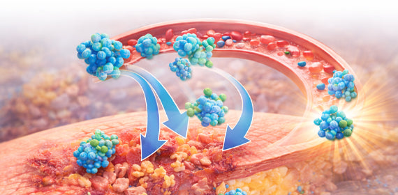 Multi-Enzyme Proteolytic Support