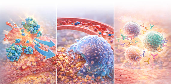 Cytokine & Immune Modulation