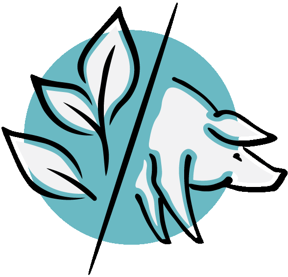 Vegetarian vs animal enzyme sources illustration